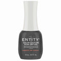 Entity Color Couture Soak Off Gel Matte Top Coat 0.5 Fl Oz